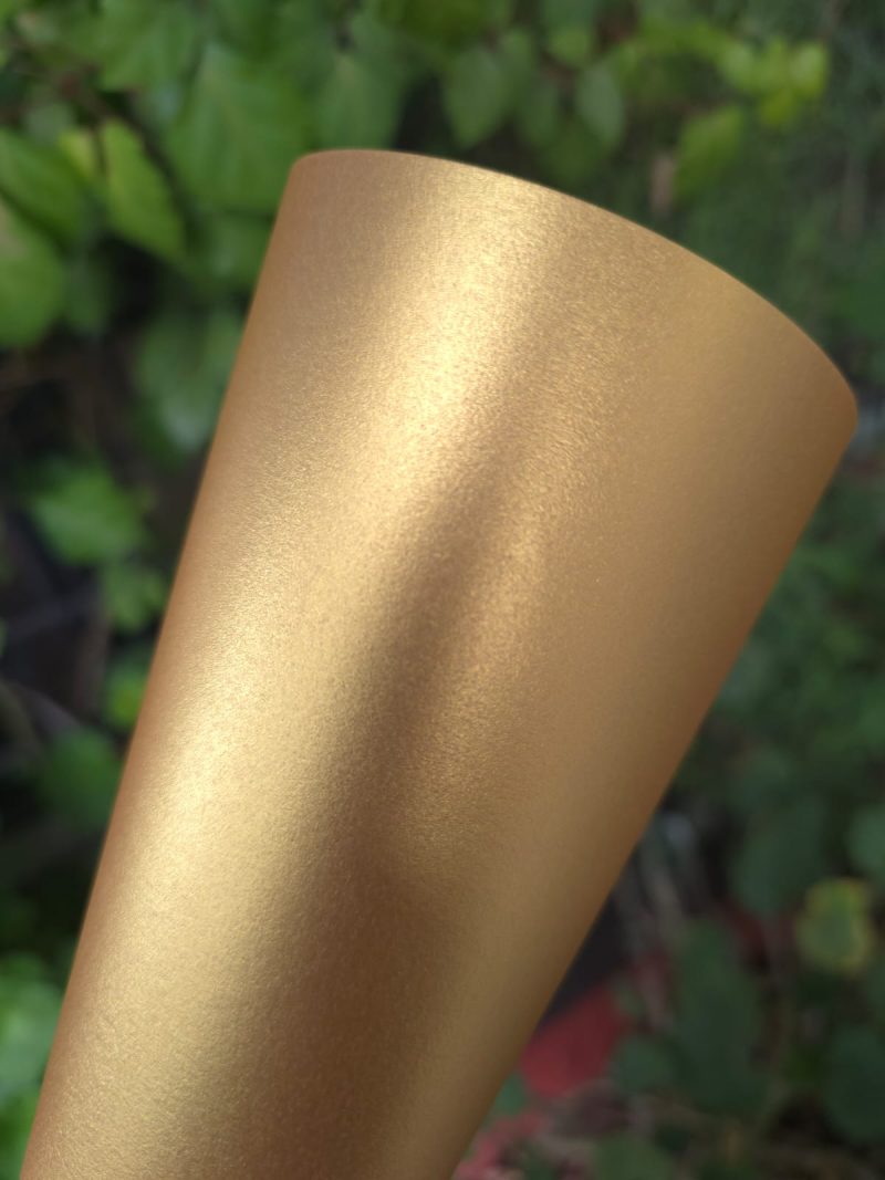 Gold Fever