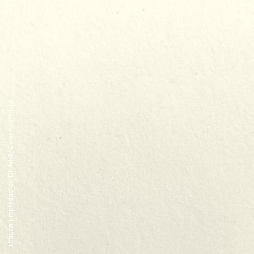 Shiro echo white Shiro Echo White