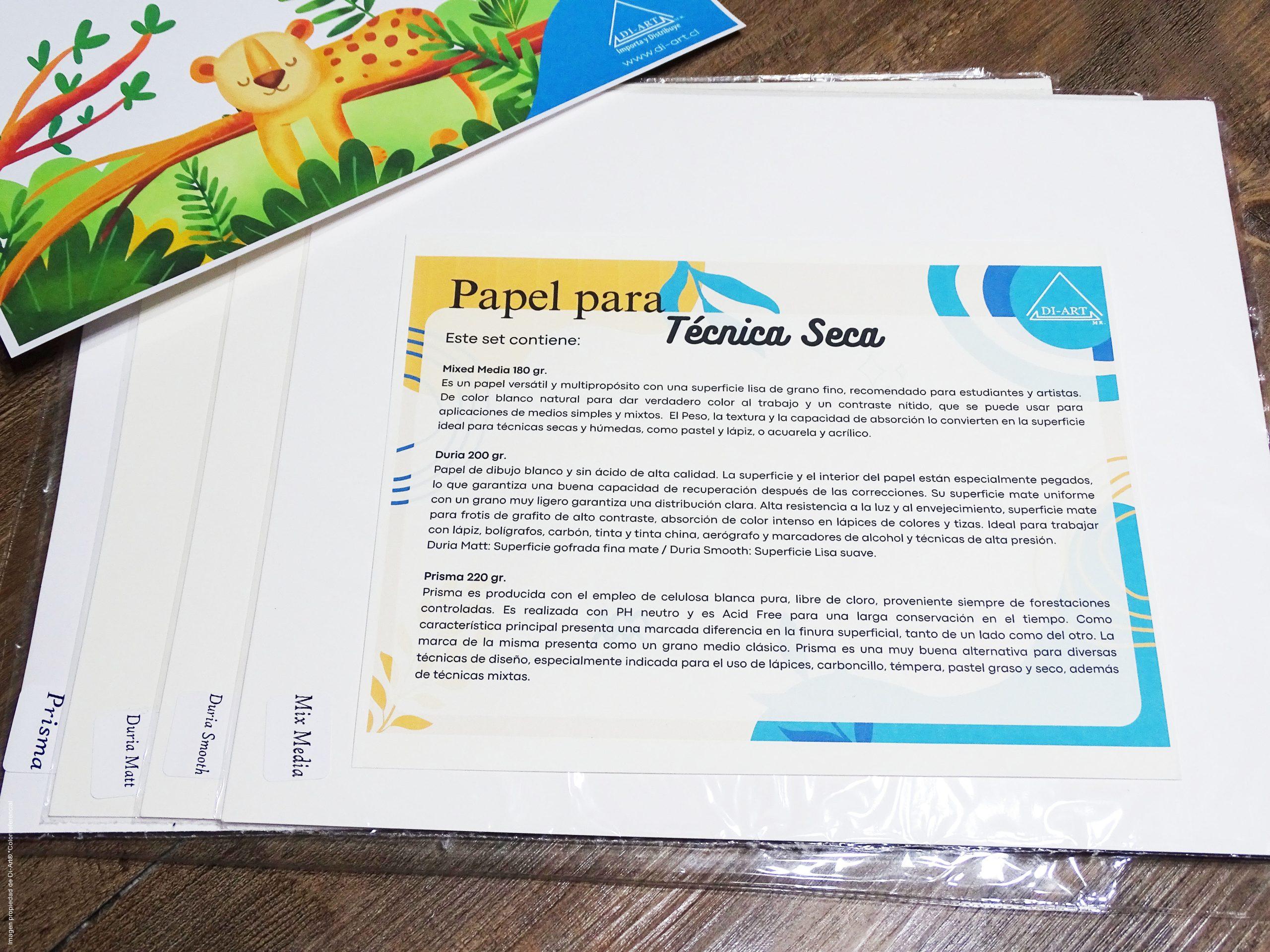 Carpeta Arte Tecnica Seca2