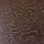 lizard-bronze-brown